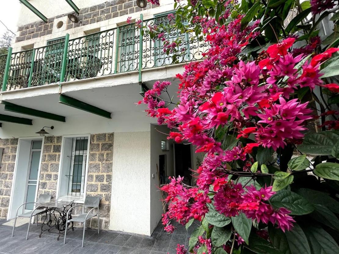 Berenice Winery Hotel 提比里亞 外观 照片