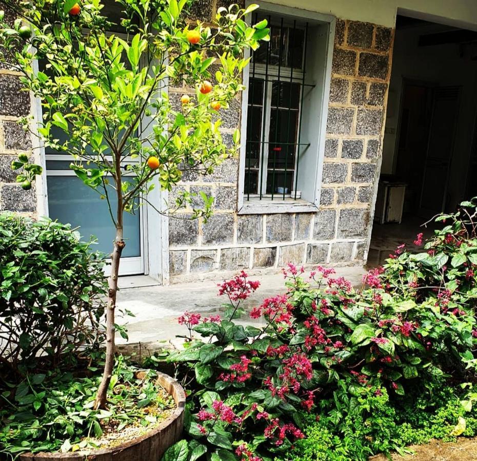 Berenice Winery Hotel 提比里亞 外观 照片