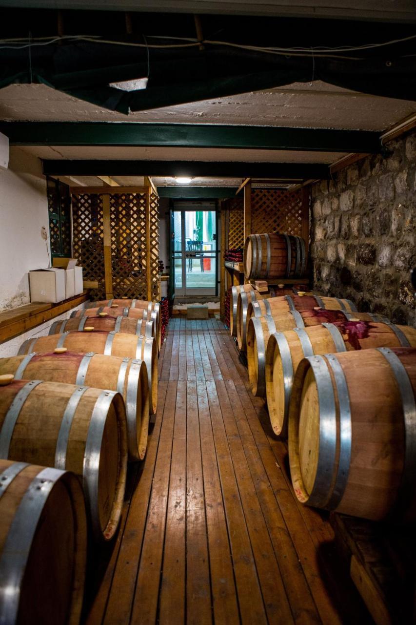 Berenice Winery Hotel 提比里亞 外观 照片