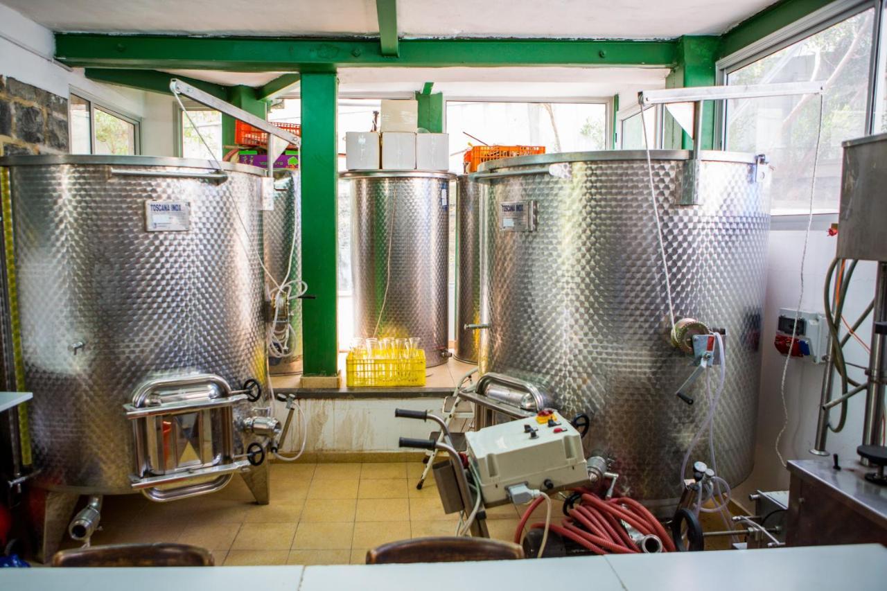 Berenice Winery Hotel 提比里亞 外观 照片